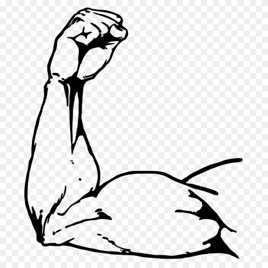 Muscle - Man Arm Clipart - Full Siz