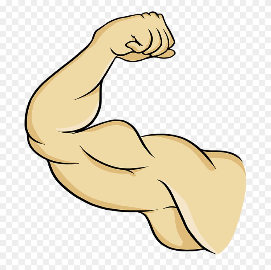 Muscle - Man Arm Clipart - Full Siz