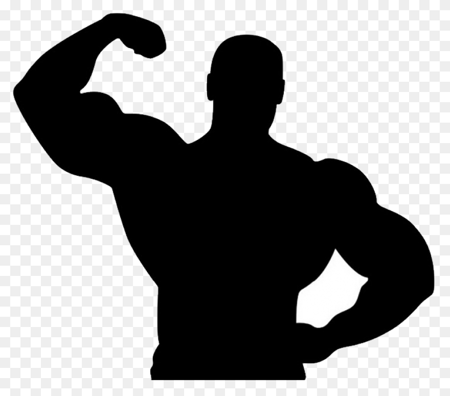 Muscle - Man Arm Clipart - Full Siz