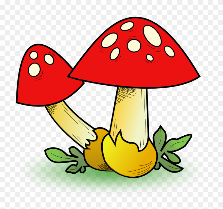 Mushroom Clip Art - Mushroom Images