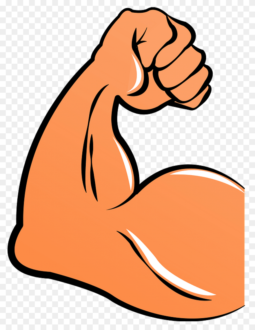How To Force Muscle Growth And Make