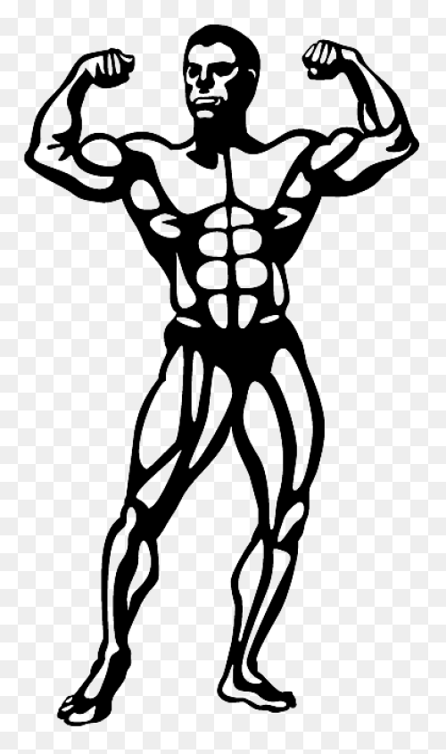 How To Force Muscle Growth And Make