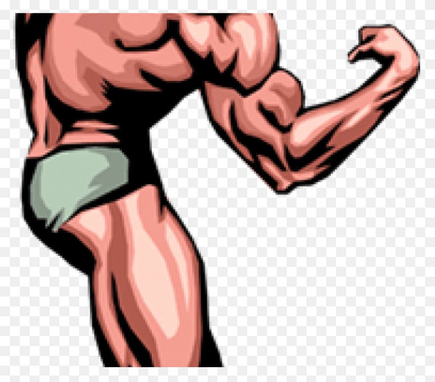 How To Force Muscle Growth And Make