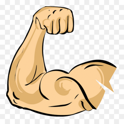 How To Force Muscle Growth - Muscle