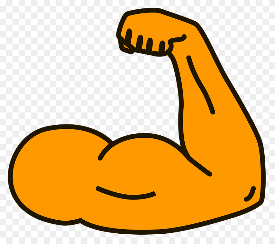How To Force Muscle Growth And Make