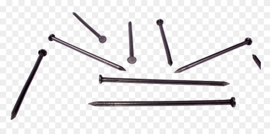 Saratoga/jennylind Trunk Nail - Nail Head