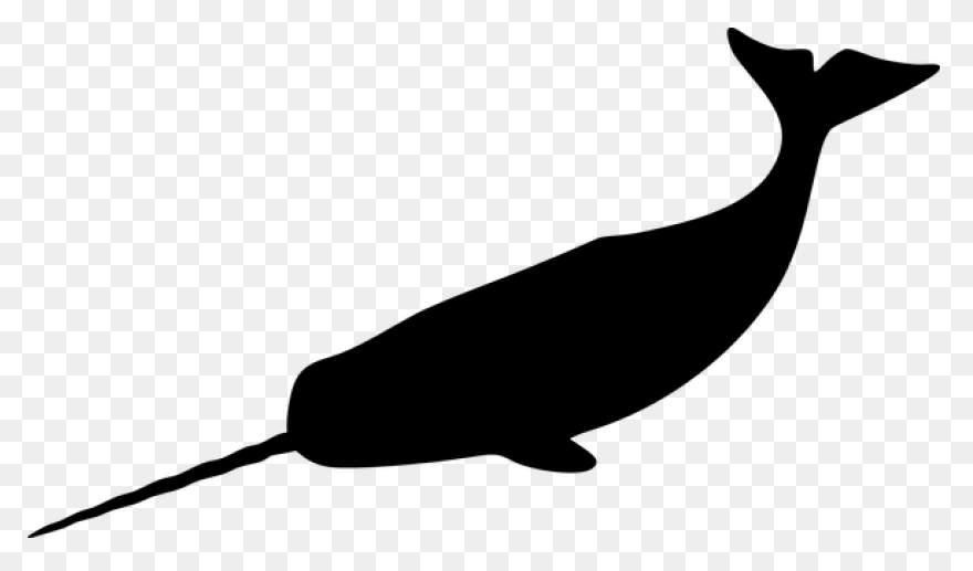 Large Narwhal Silhouette Vector Ima