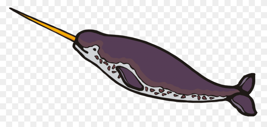 Large Narwhal Silhouette Vector Ima