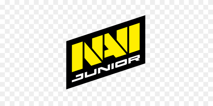 Team Navi.us (Natus Vincere North A