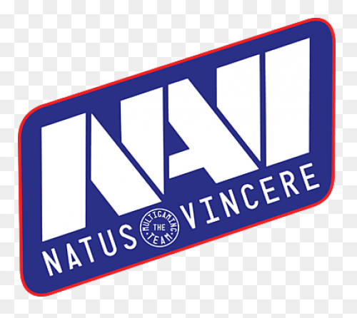 Team Navi.us (Natus Vincere North - Navi