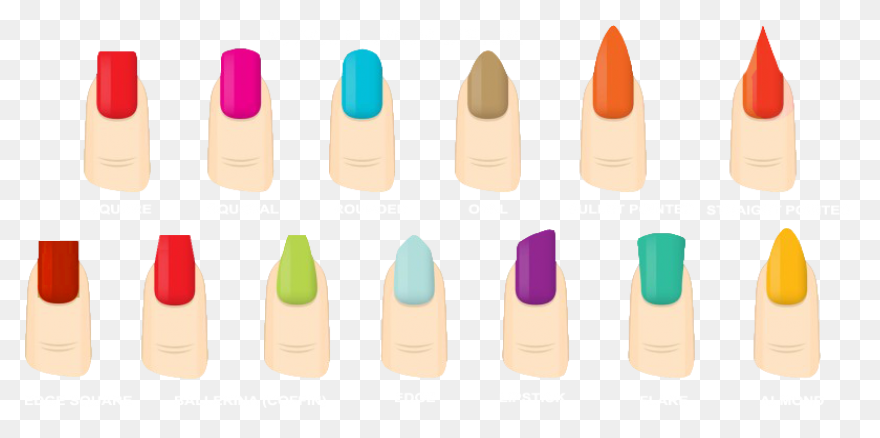 Cute Sticker - Nail Polish Clipart 