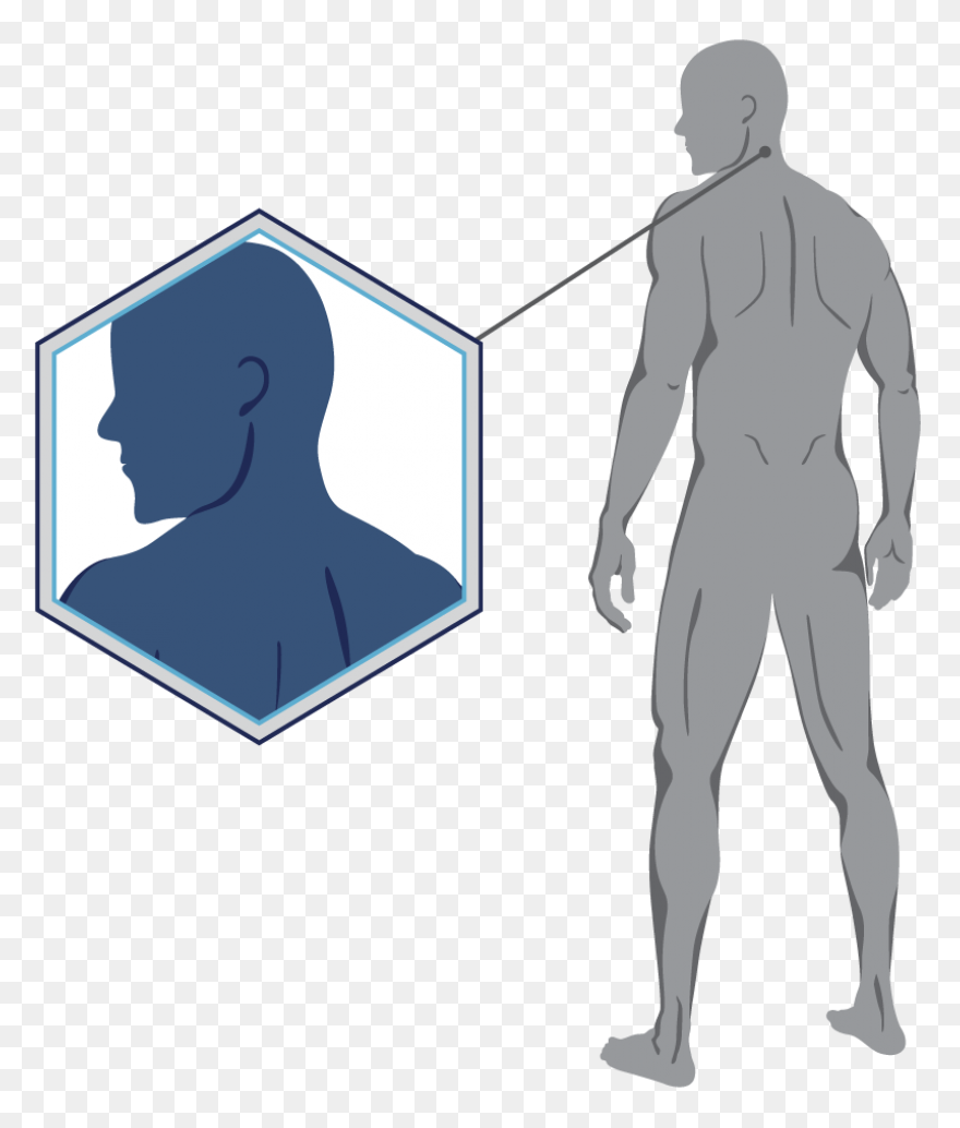 Neck Icon #44775 - Free Icons Libra