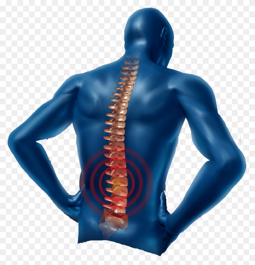 Neck Icon #44775 - Free Icons Libra