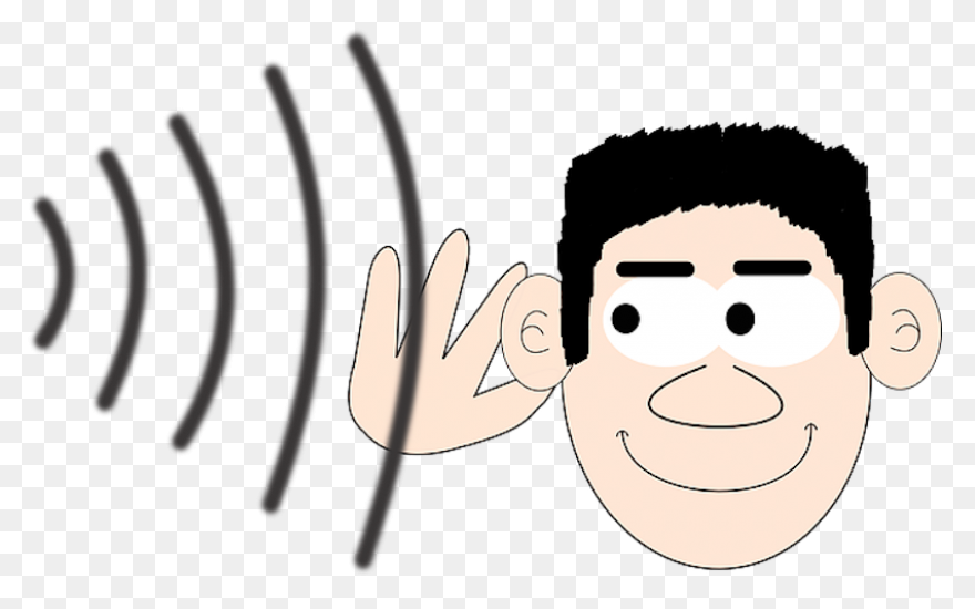 Noise Search