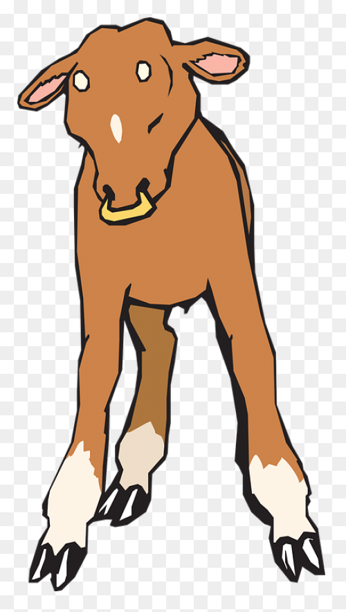 Nose Ring Png - Cow Nose Ring Png |