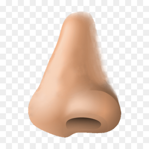 How To Draw A Nose – Really Easy 