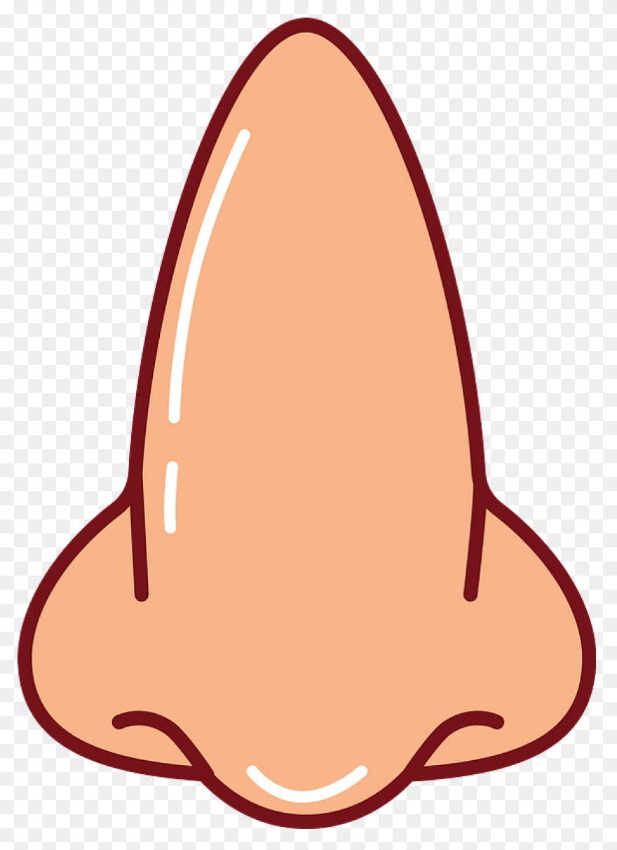 How To Draw A Nose – Really Easy 
