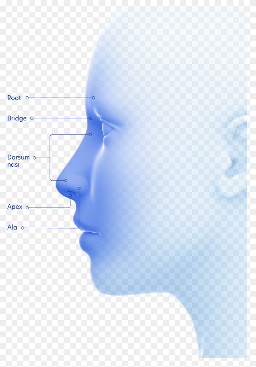 How To Draw A Nose – Really Easy 