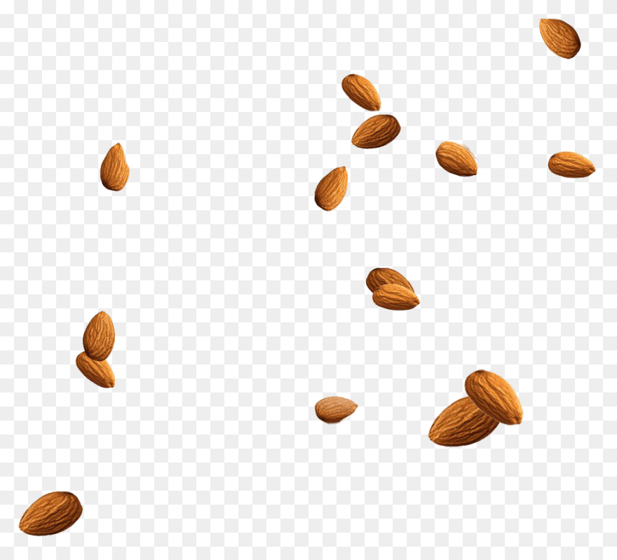 Nuts Clip Art - ClipartFlare