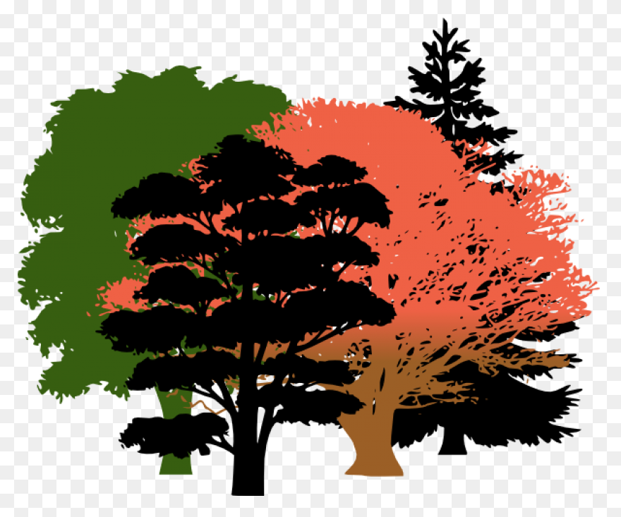 Download Get Free High Quality - Oak Tree Silhouette