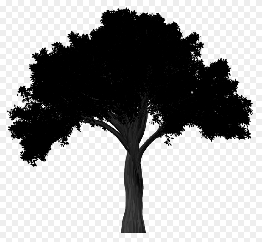 Oak Tree Silhouette - Free Vector S