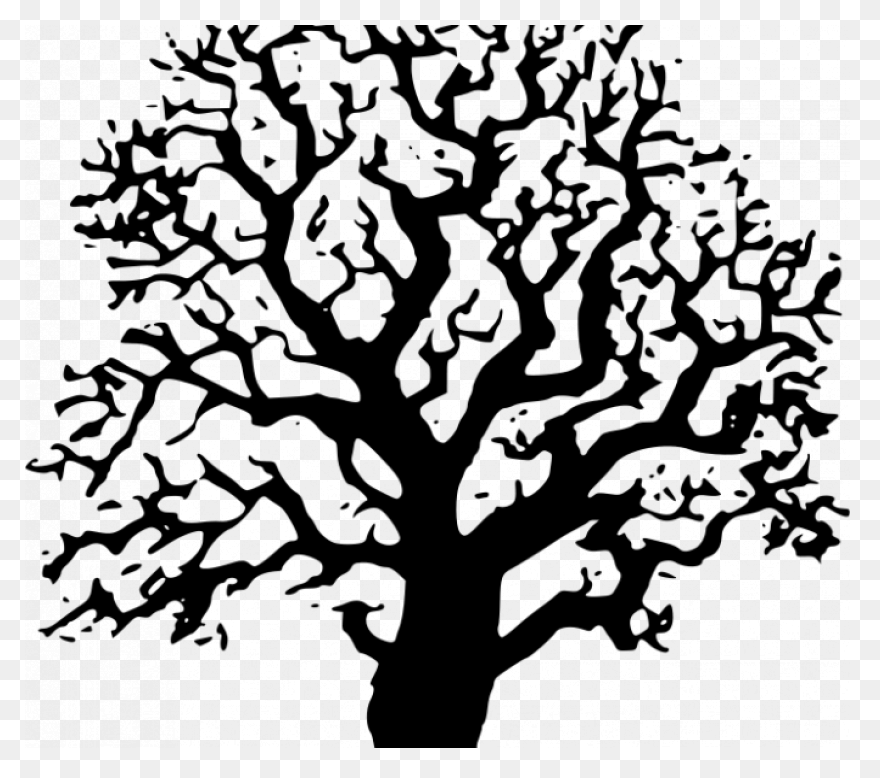 Oak Tree Silhouette - Free Vector S