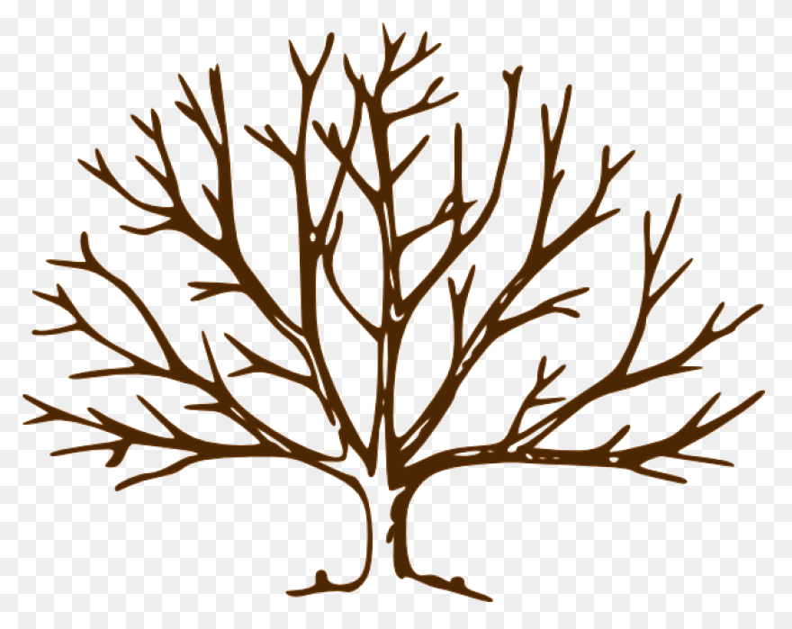 Oak Tree Silhouette - Free Vector S