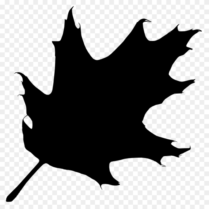 Oak Tree Silhouette - Free Vector S