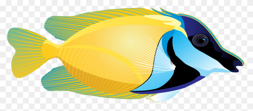 Fish Clipart | Fish Clipart, Tropic