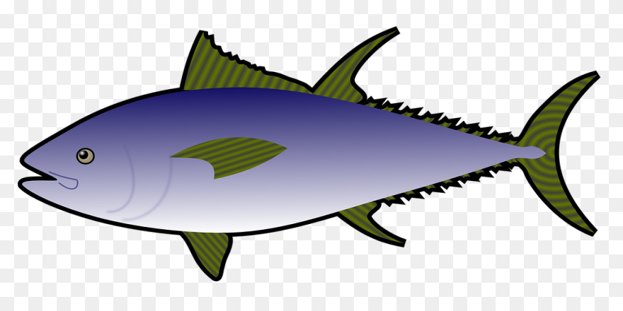 Fish Clipart | Fish Clipart, Tropic