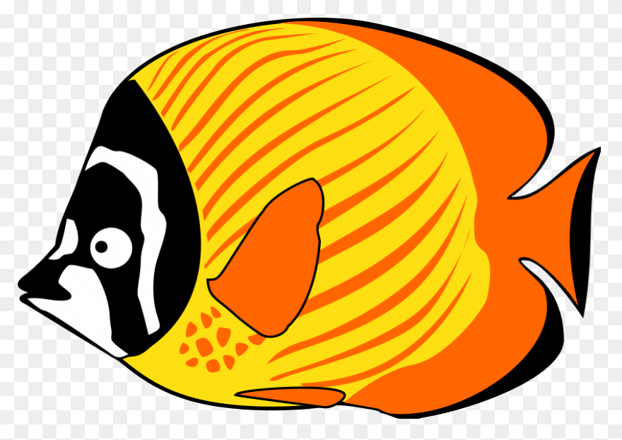 Fish Clipart | Fish Clipart, Tropic