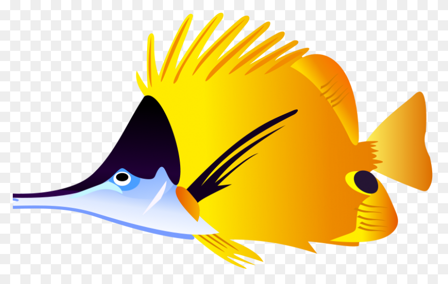 Fish Clipart | Fish Clipart, Tropic
