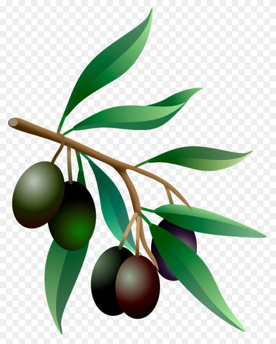 13+ Olive View Olive Emoji Clipart Olive Emoji PNG Clip Art Images