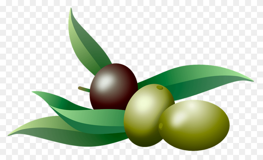 How Is Olive Oil Made? - ClipartFla