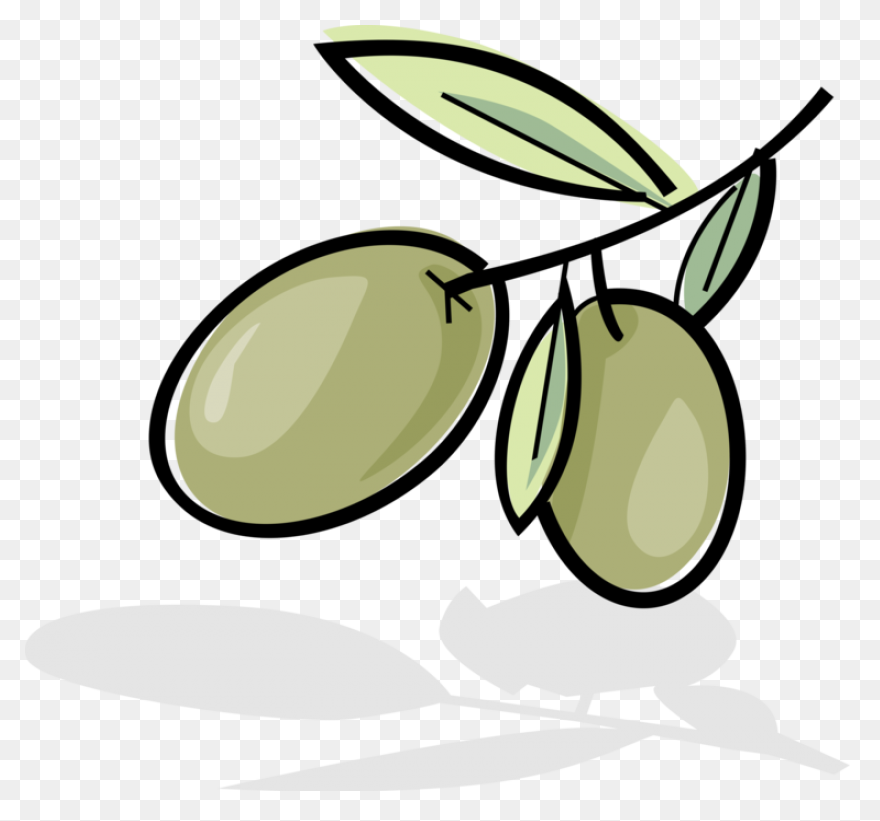 How Is Olive Oil Made? - ClipartFla