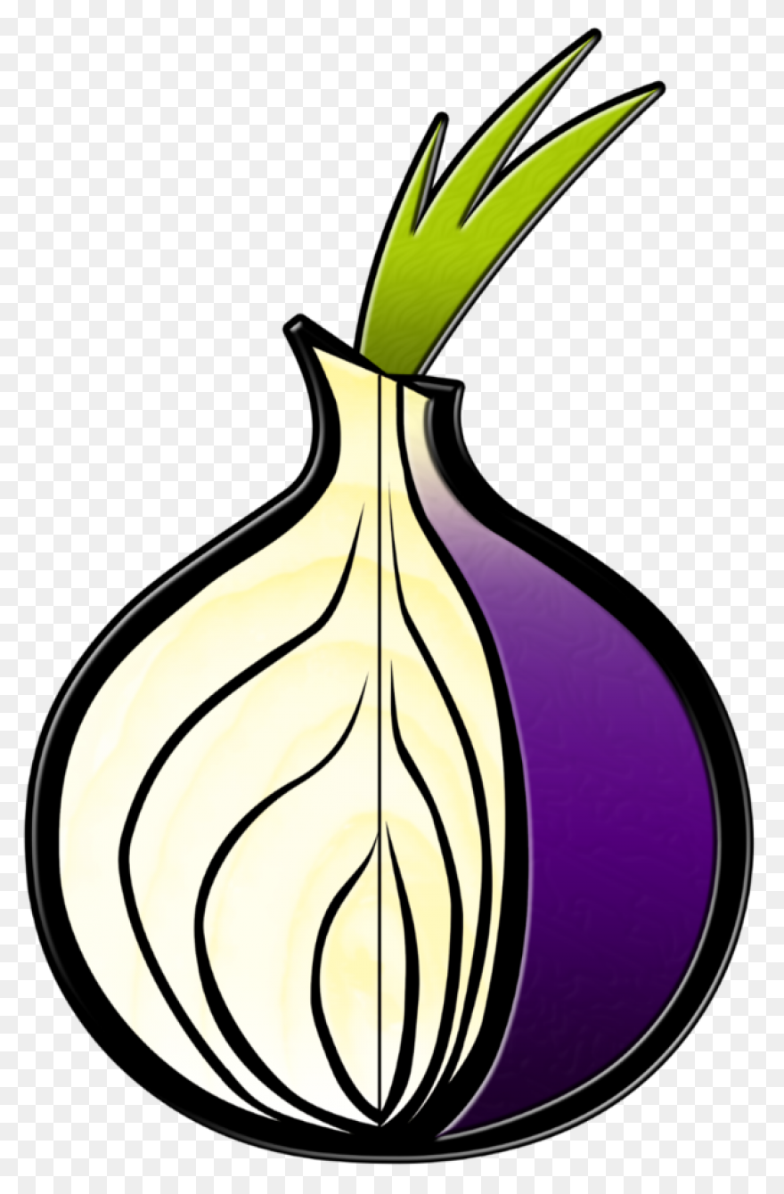 Onion 20Clipart ClipartFlare Free C
