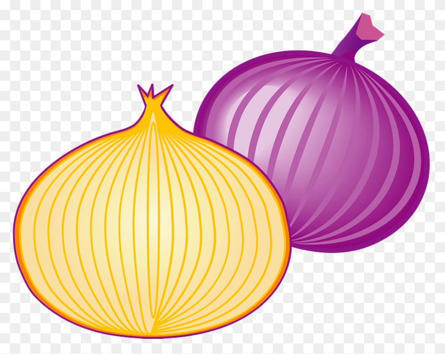 Onion 20Clipart ClipartFlare Free C