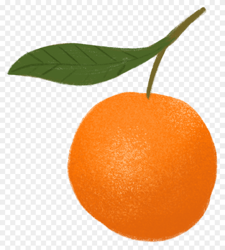 Free Orange Cliparts, Download Free