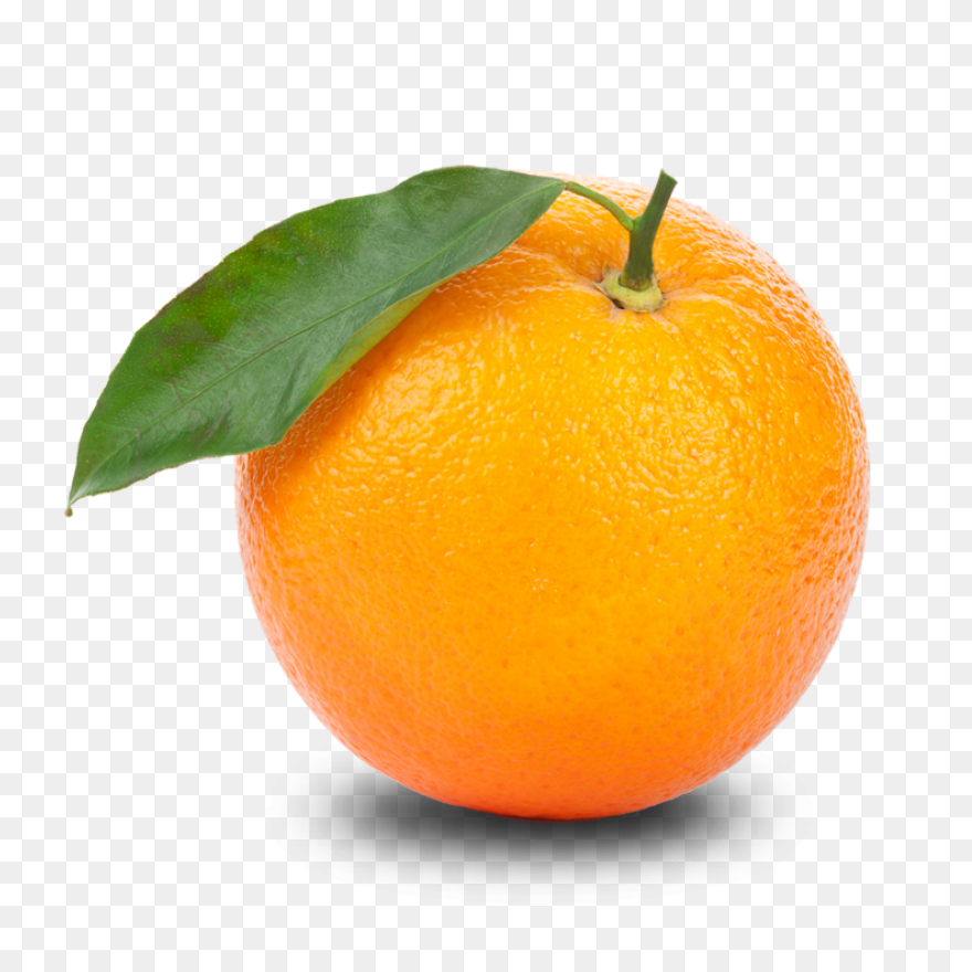 Free Orange Cliparts, Download Free