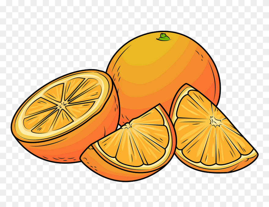 Free Orange Cliparts, Download Free