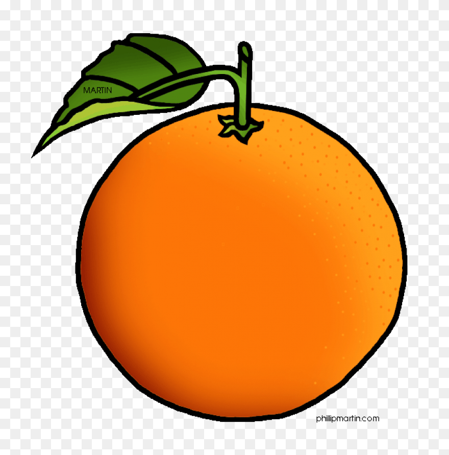 Free Orange Cliparts, Download Free