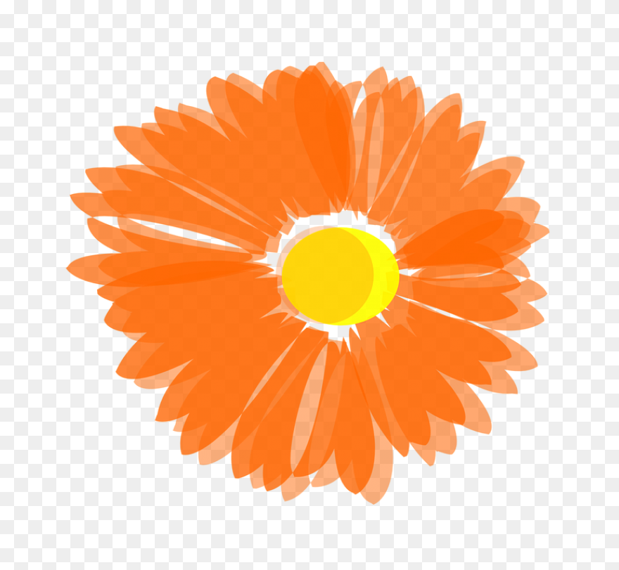 Free Orange Flowers Png, Download F