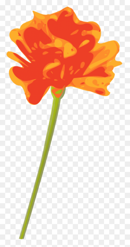 Free Orange Flowers Png, Download F