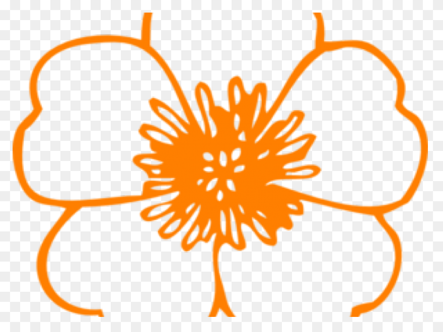 Free Orange Flowers Png, Download F