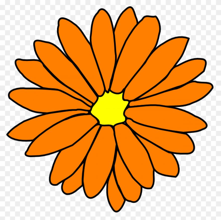 Free Orange Flowers Png, Download F