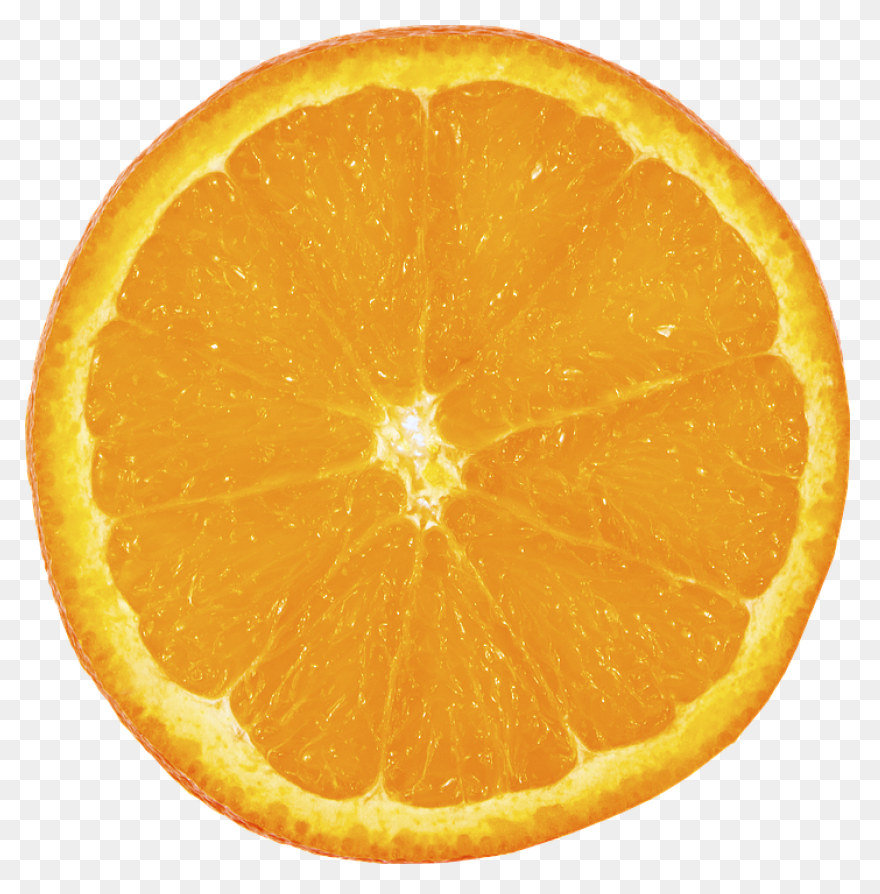 Cropped-Orange-Slice-Copy-5-E146775