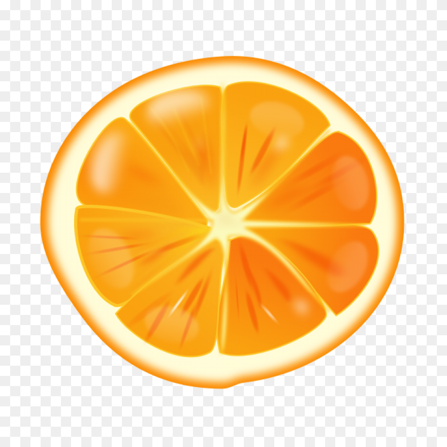 Cropped-Orange-Slice-Copy-5-E146775