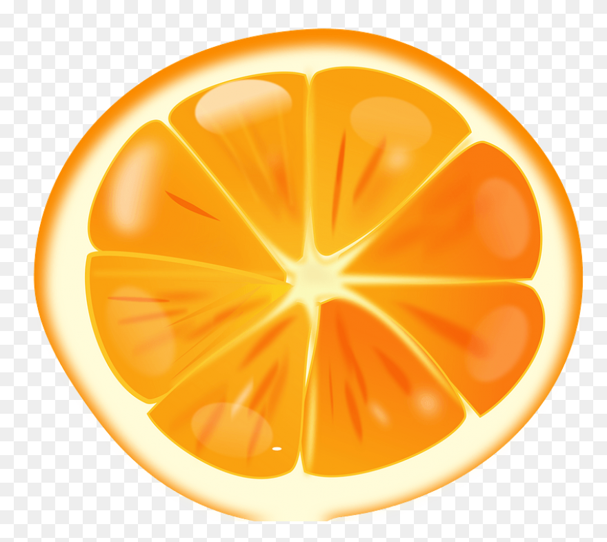 Cropped-Orange-Slice-Copy-5-E146775