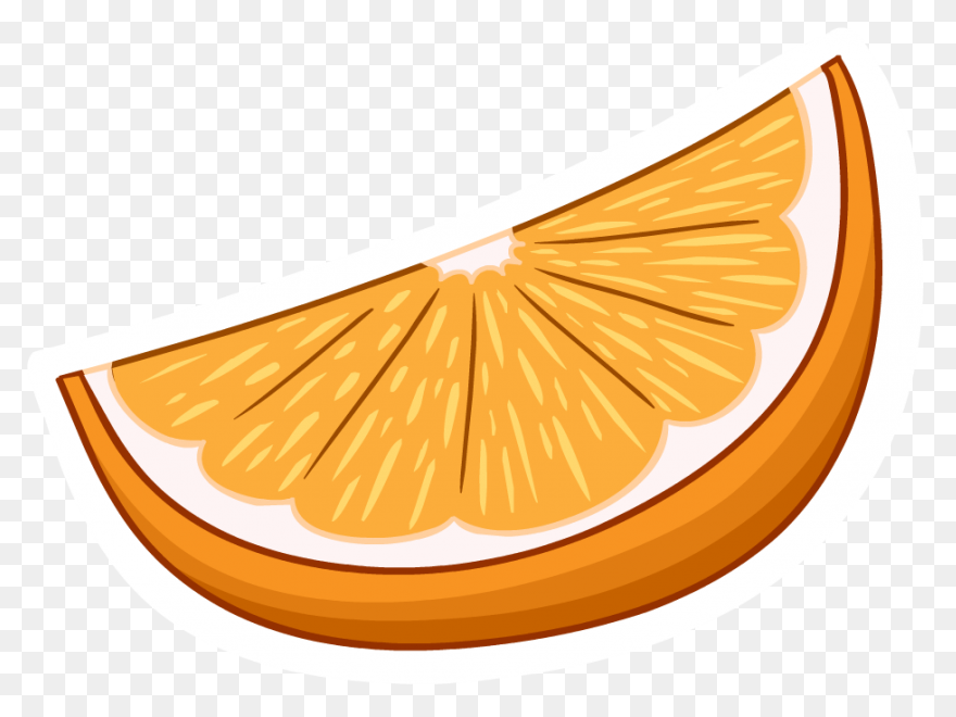 Cropped-Orange-Slice-Copy-5-E146775