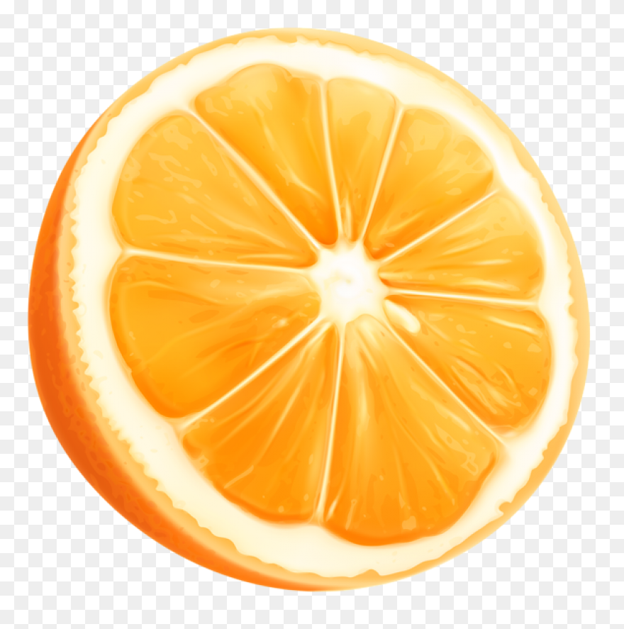 Cropped-Orange-Slice-Copy-5-E146775